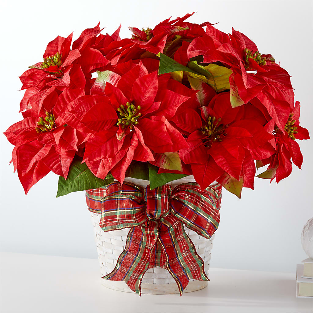 Happiest Holidays Poinsettia – FUJI'S ALADDIN FLOWERS, National City CA