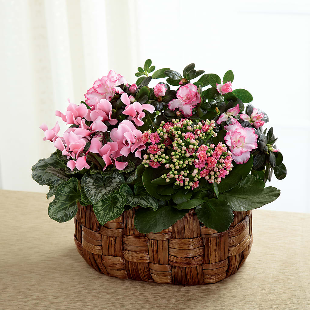 Pink Assortment – FUJI'S ALADDIN FLOWERS, National City CA