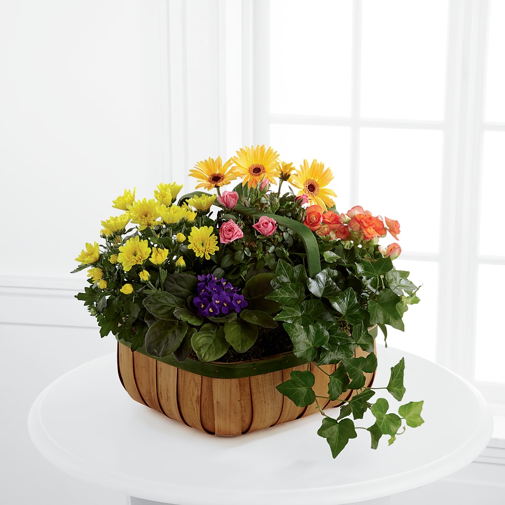 Gentle Blossoms Basket – FUJI'S ALADDIN FLOWERS, National City CA