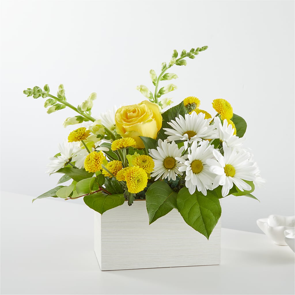 Sun Salutation Box Bouquet – FUJI'S ALADDIN FLOWERS, National City CA