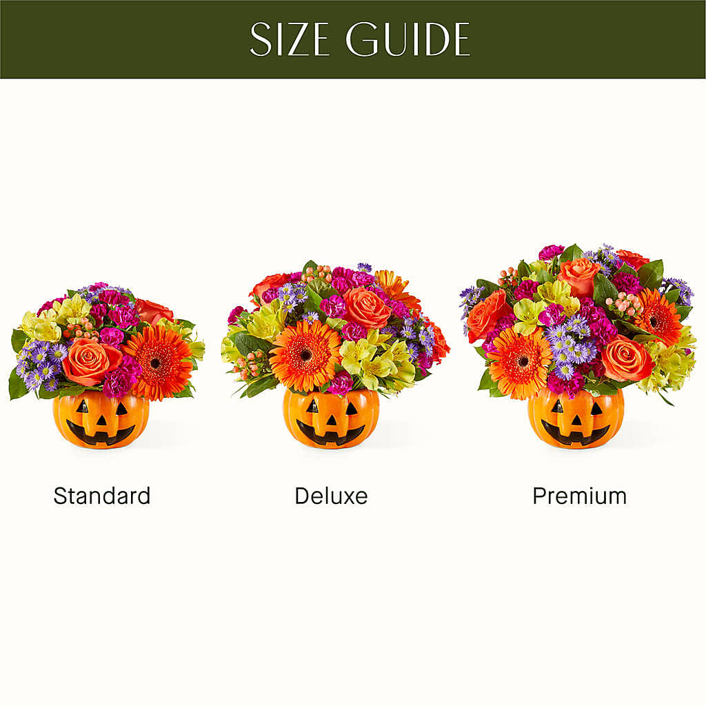 Tricks & Treats Pumpkin – FUJI'S ALADDIN FLOWERS, National City CA