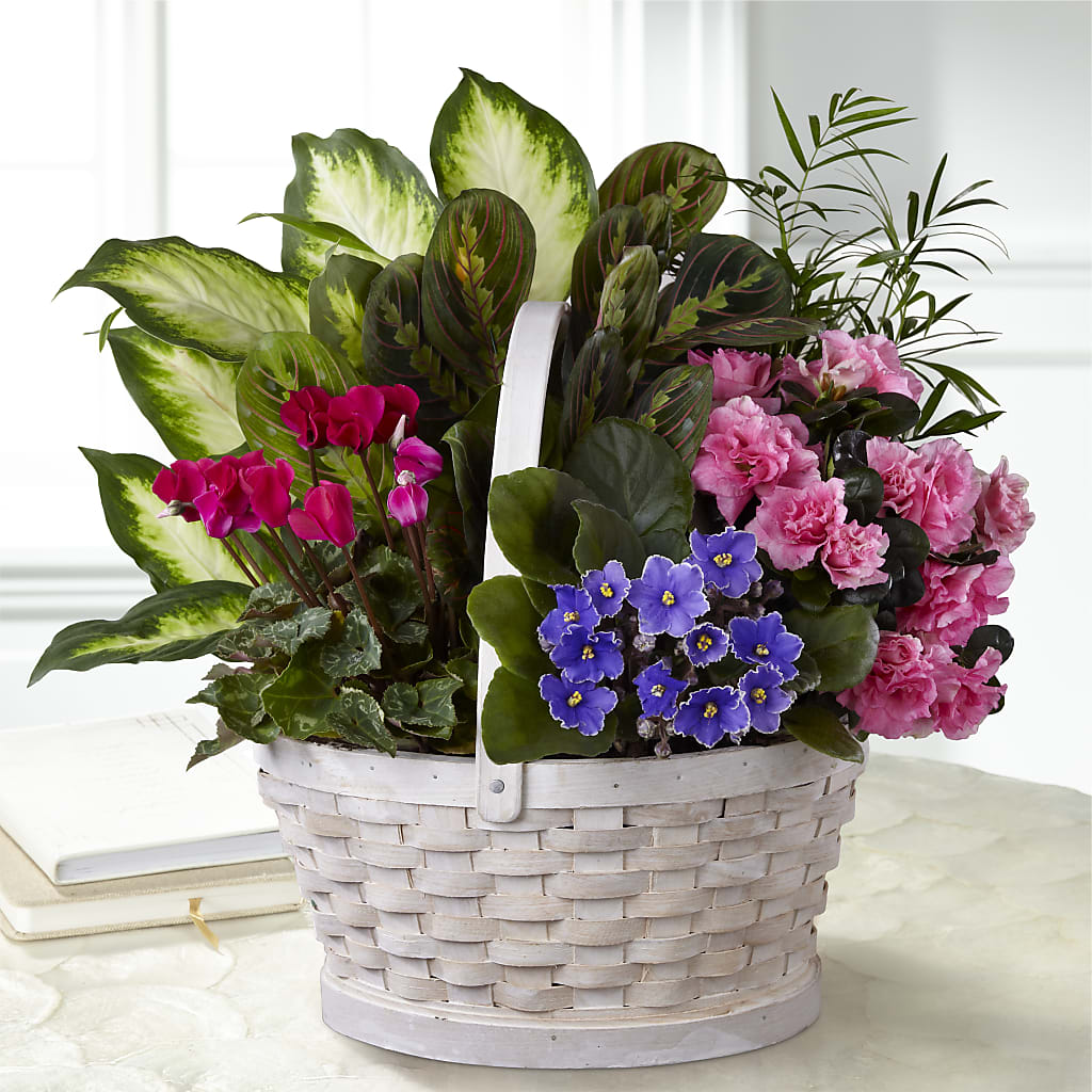 Peaceful Garden Planter – FUJI'S ALADDIN FLOWERS, National City CA