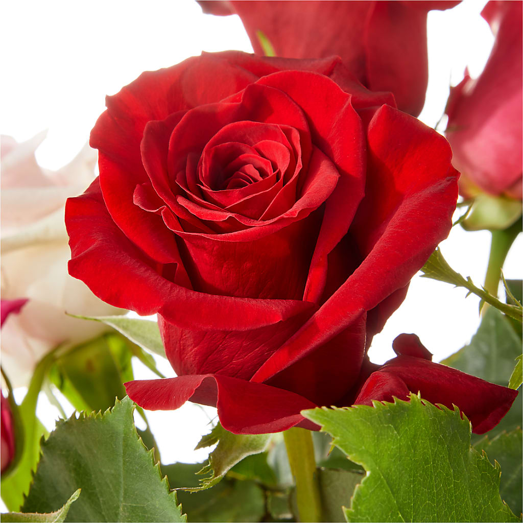 Love Notes Rose Bouquet – FUJI'S ALADDIN FLOWERS, National City CA