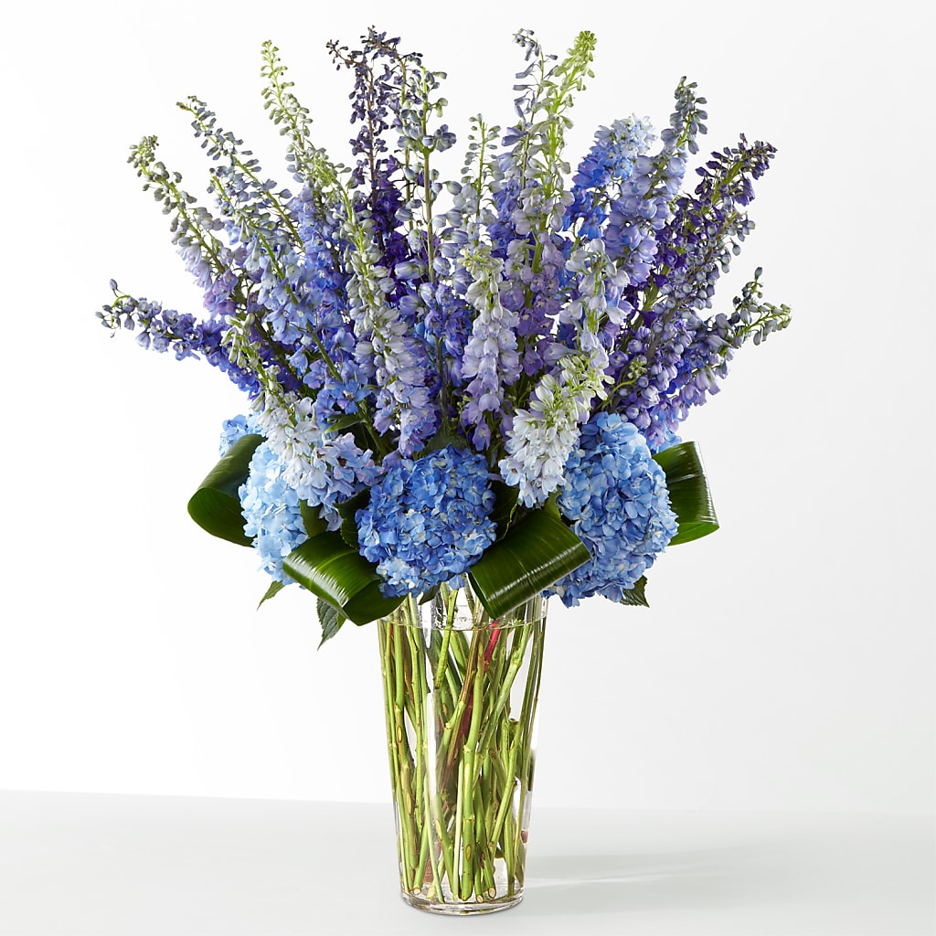The Editorial – FUJI'S ALADDIN FLOWERS, National City CA