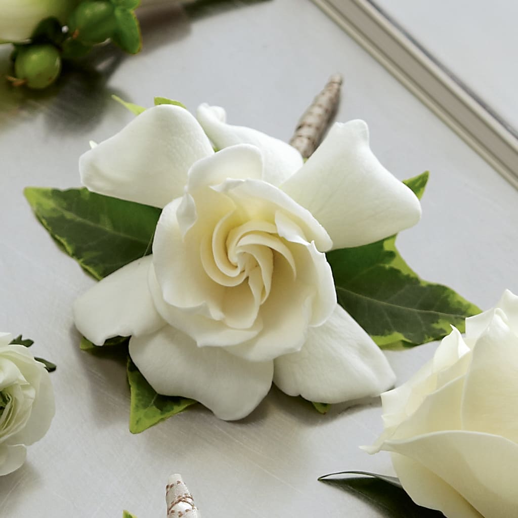 Gardenia Boutonniere – FUJI'S ALADDIN FLOWERS, National City CA
