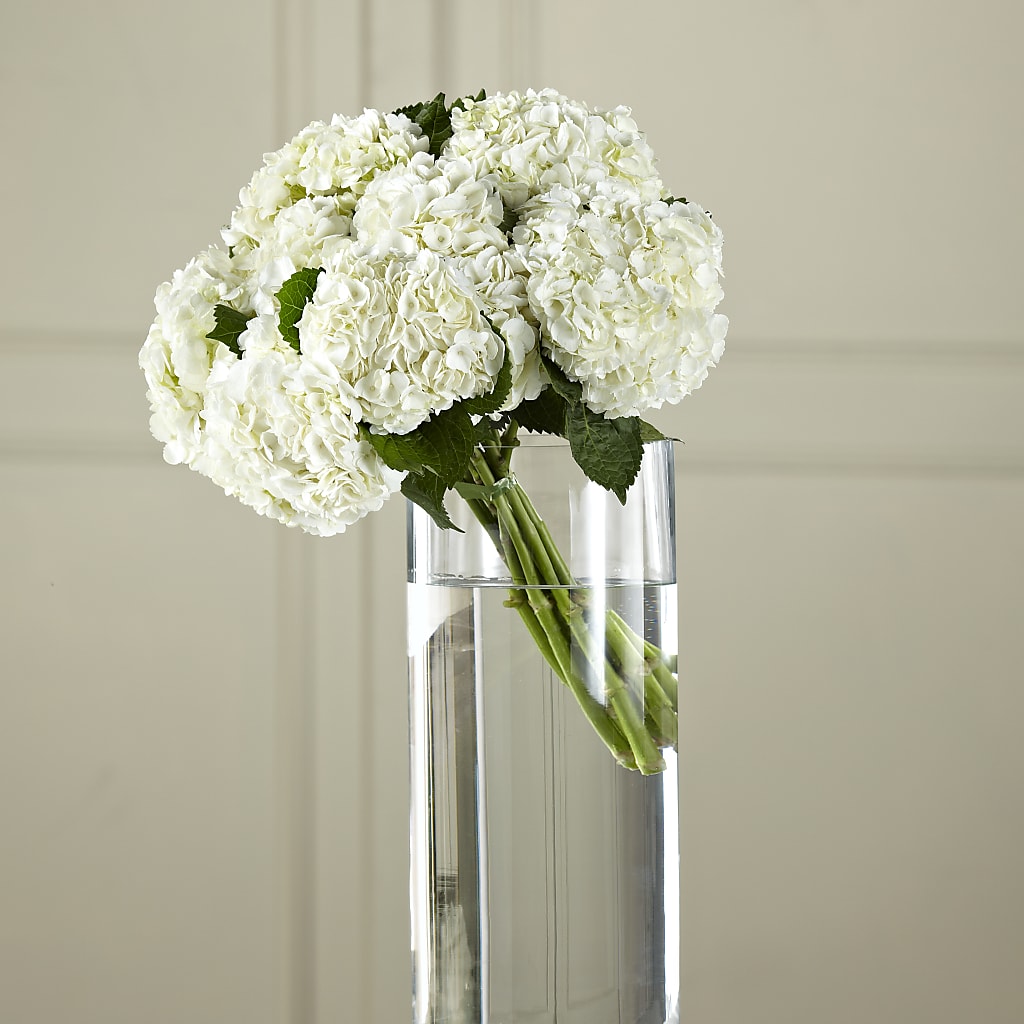 White Hydrangea Hand-Tied Bouquet – FUJI'S ALADDIN FLOWERS, National City CA