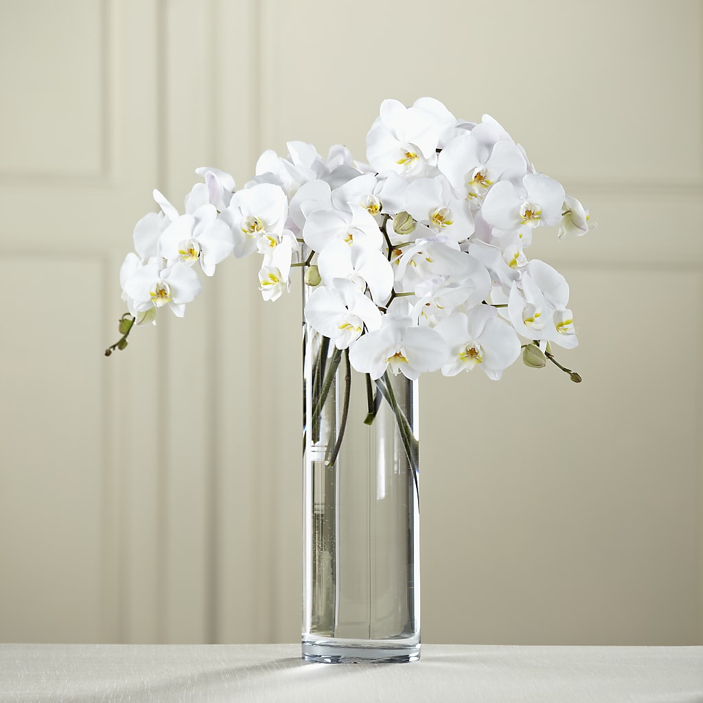 White Phalaenopsis Bouquet – FUJI'S ALADDIN FLOWERS, National City CA