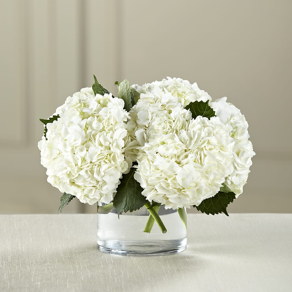 White Hydrangea Bouquet – FUJI'S ALADDIN FLOWERS, National City CA