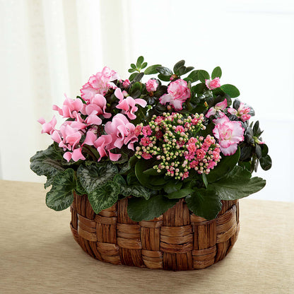 Pink Assortment – FUJI'S ALADDIN FLOWERS, National City CA