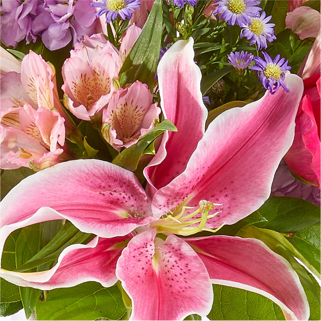 Written in the Stars Bouquet – FUJI'S ALADDIN FLOWERS, National City CA
