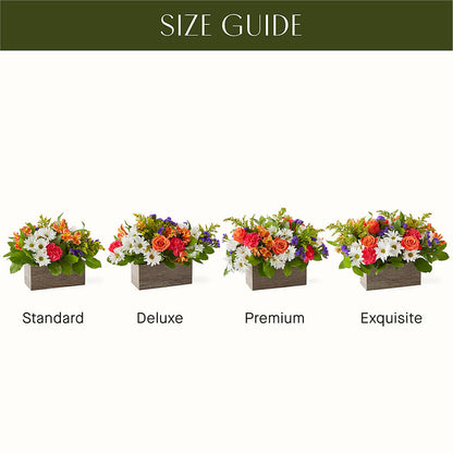 Oopsie Daisy Box Bouquet – FUJI'S ALADDIN FLOWERS, National City CA