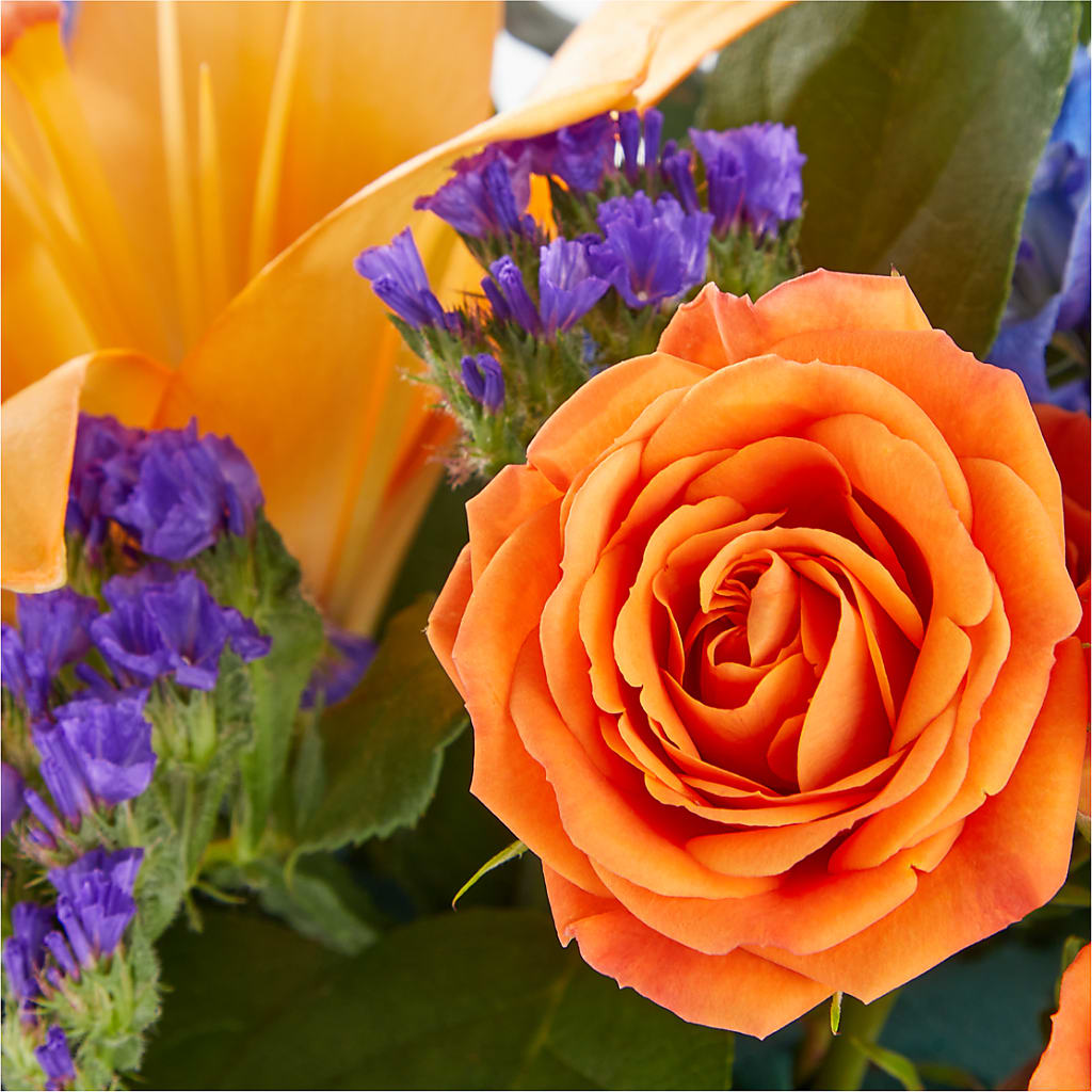 Radiant Citrus Box Bouquet – FUJI'S ALADDIN FLOWERS, National City CA
