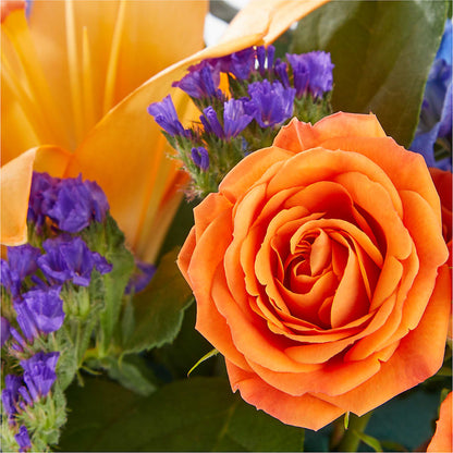 Radiant Citrus Box Bouquet – FUJI'S ALADDIN FLOWERS, National City CA