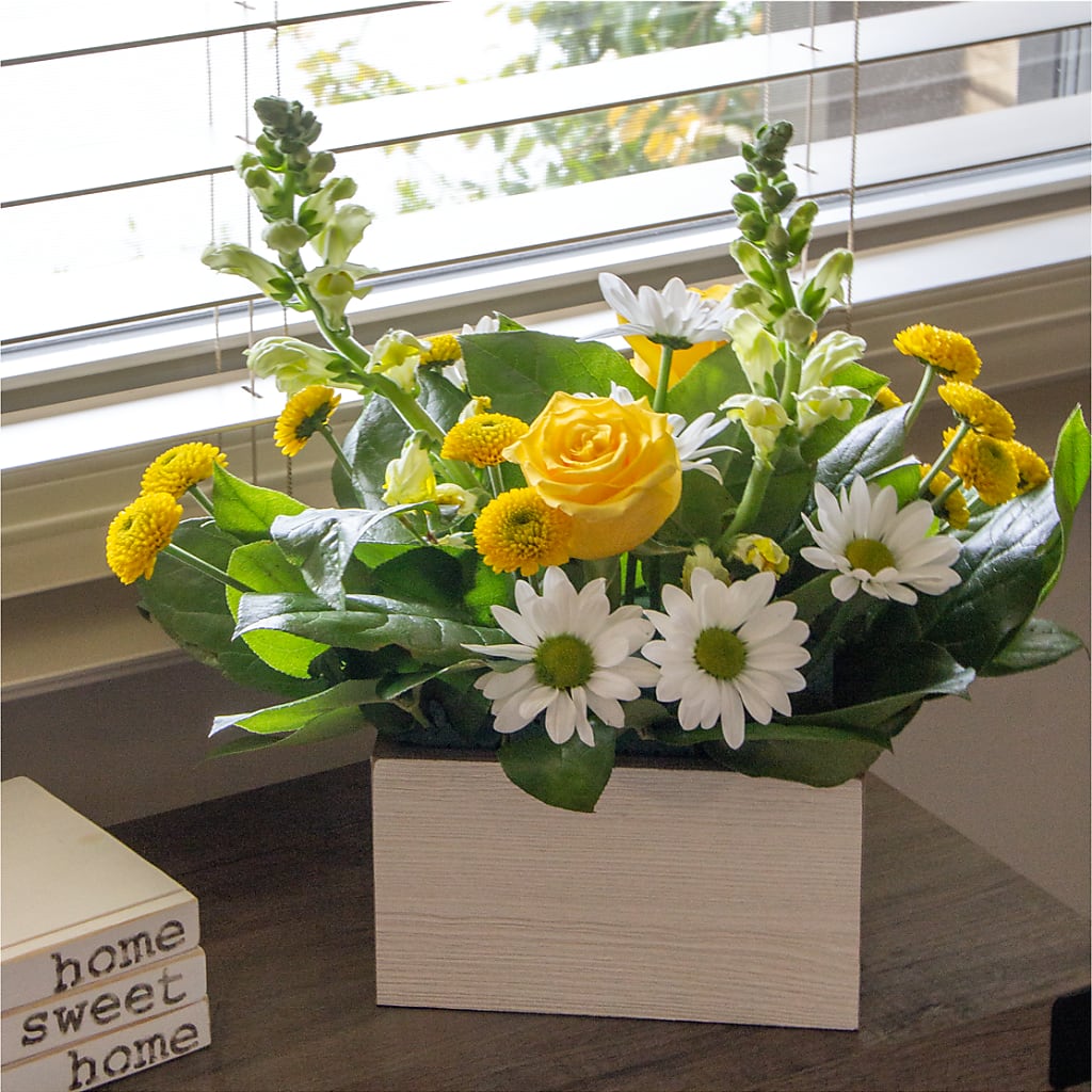 Sun Salutation Box Bouquet – FUJI'S ALADDIN FLOWERS, National City CA