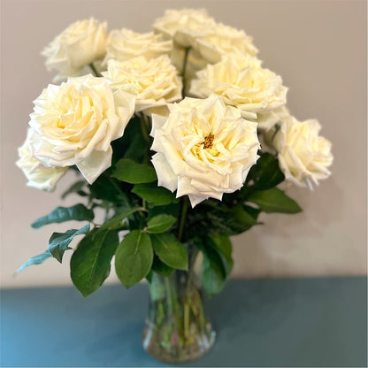 Long Stem Yellow Rose Bouquet – FUJI'S ALADDIN FLOWERS, National City CA