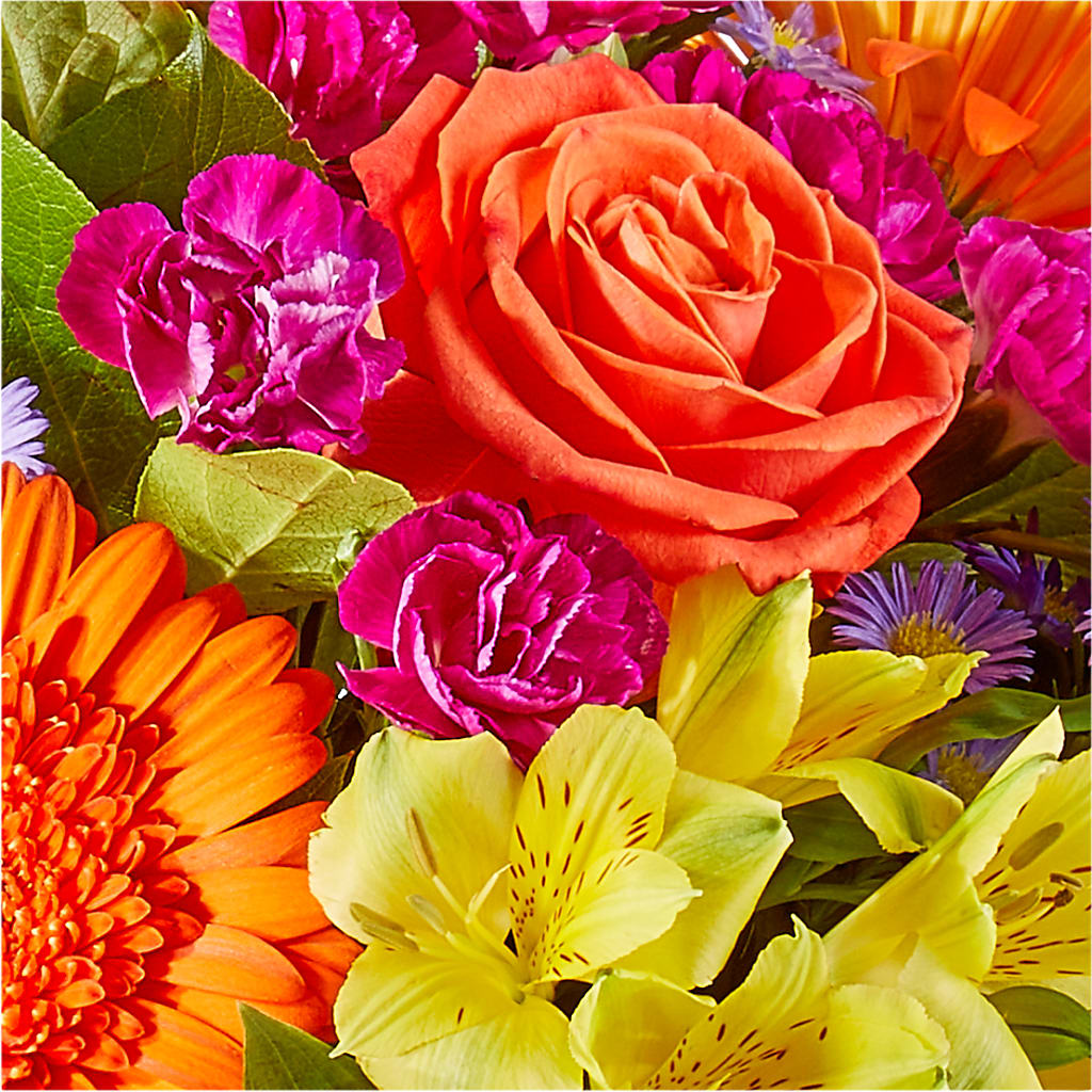 Tricks & Treats Pumpkin – FUJI'S ALADDIN FLOWERS, National City CA