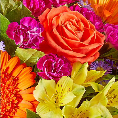 Tricks & Treats Pumpkin – FUJI'S ALADDIN FLOWERS, National City CA