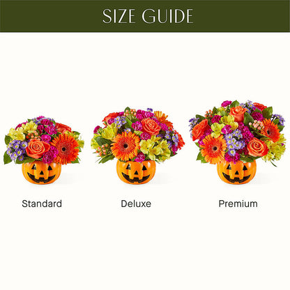 Tricks & Treats Pumpkin – FUJI'S ALADDIN FLOWERS, National City CA