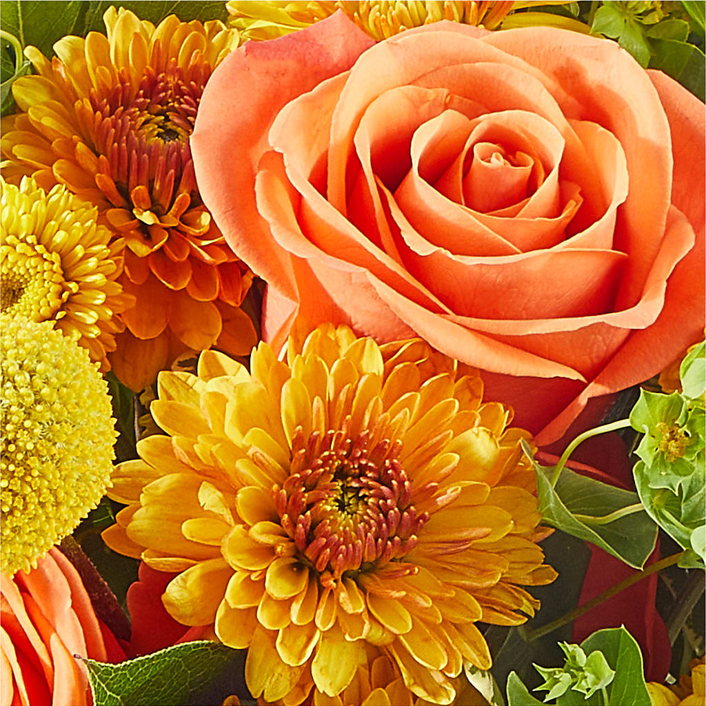 Gourdgeous Pumpkin – FUJI'S ALADDIN FLOWERS, National City CA