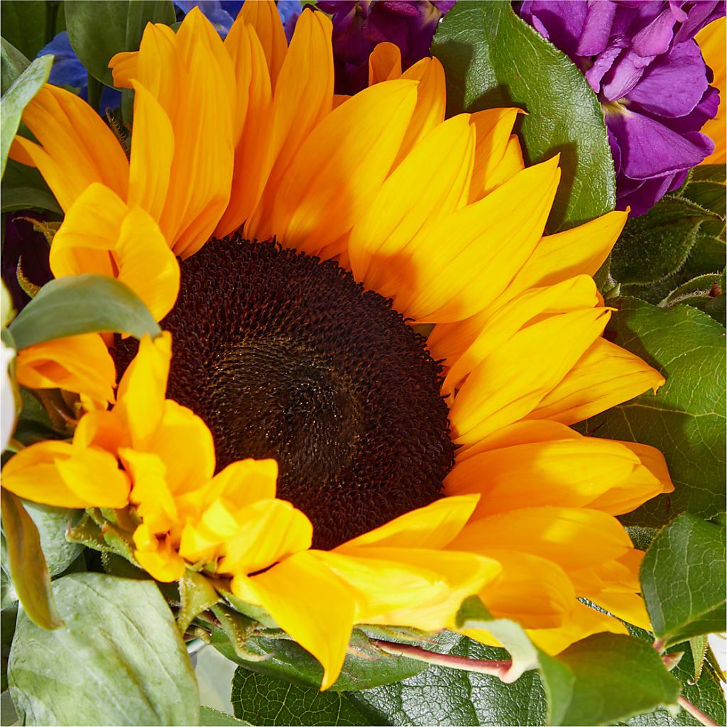 Catching Rays Bouquet – FUJI'S ALADDIN FLOWERS, National City CA