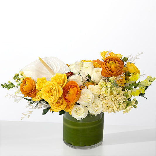 The Optimist – FUJI'S ALADDIN FLOWERS, National City CA