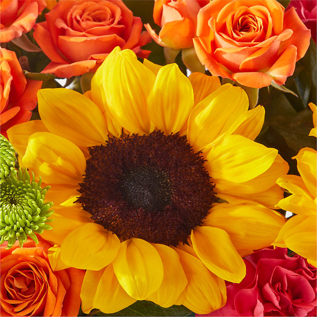 Sun-drenched Blooms Box Bouquet – FUJI'S ALADDIN FLOWERS, National City CA