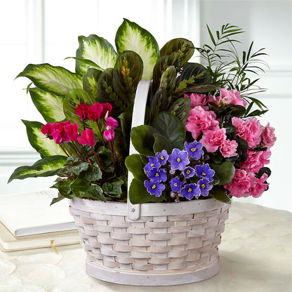 Peaceful Garden Planter – FUJI'S ALADDIN FLOWERS, National City CA