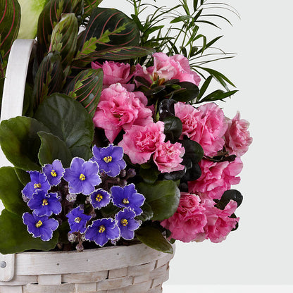 Peaceful Garden Planter – FUJI'S ALADDIN FLOWERS, National City CA