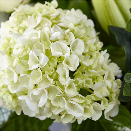 Classic Ivory – A Florist Original – FUJI'S ALADDIN FLOWERS, National City CA