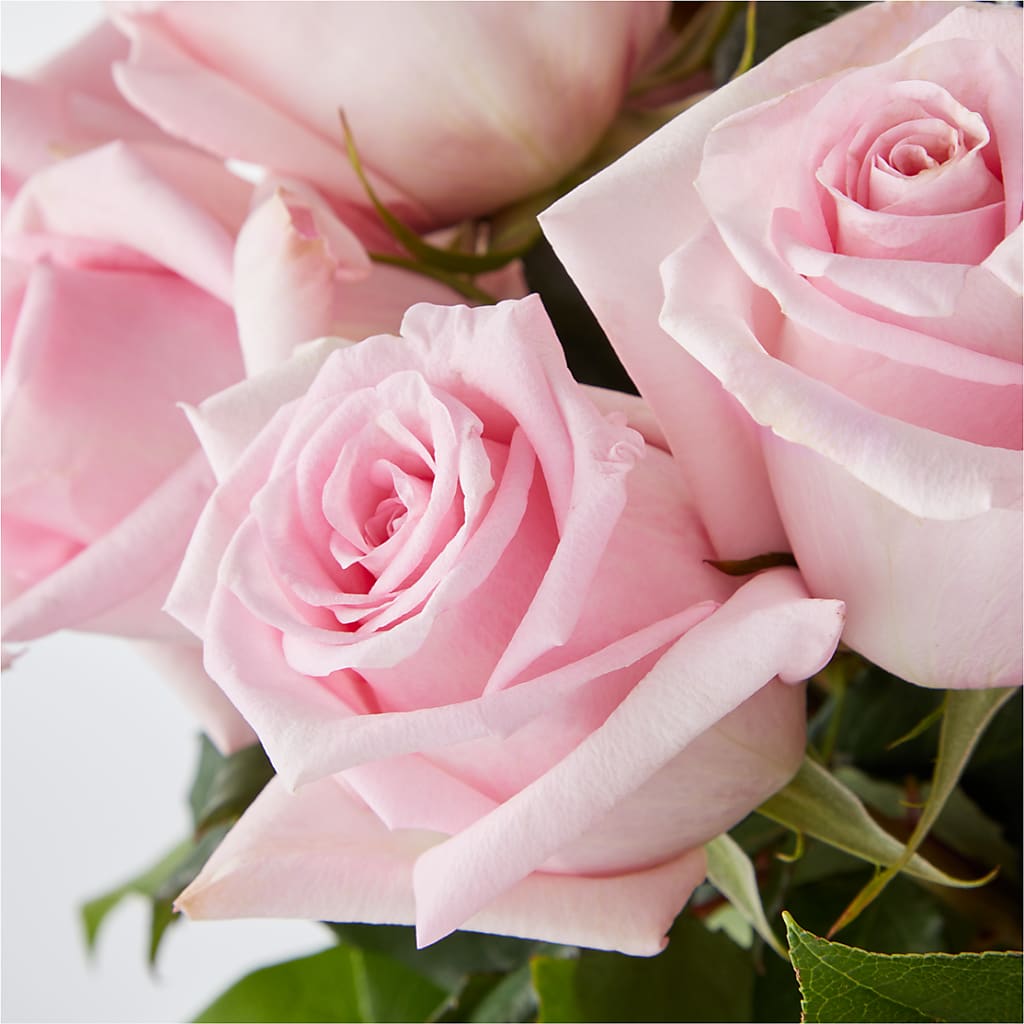 Picture Perfect Pink Rose Bouquet – FUJI'S ALADDIN FLOWERS, National City CA