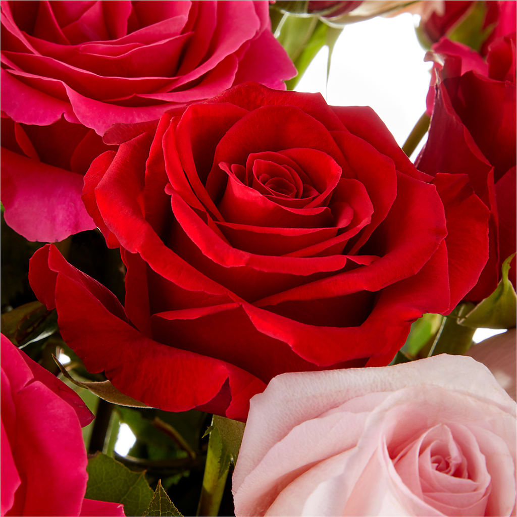 Love Notes Rose Bouquet – FUJI'S ALADDIN FLOWERS, National City CA