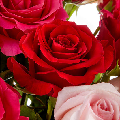 Love Notes Rose Bouquet – FUJI'S ALADDIN FLOWERS, National City CA