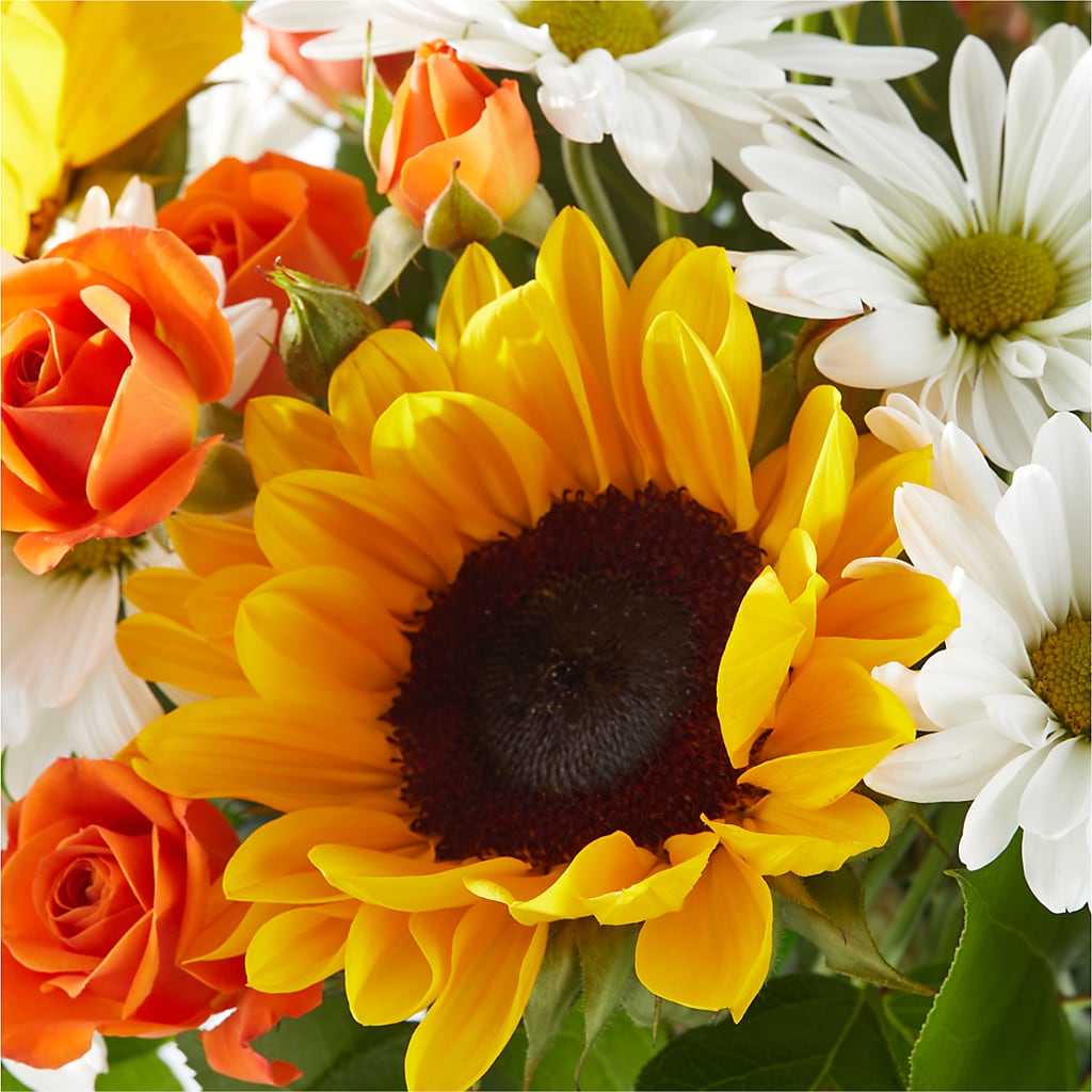 Sun-drenched Blooms Bouquet – FUJI'S ALADDIN FLOWERS, National City CA