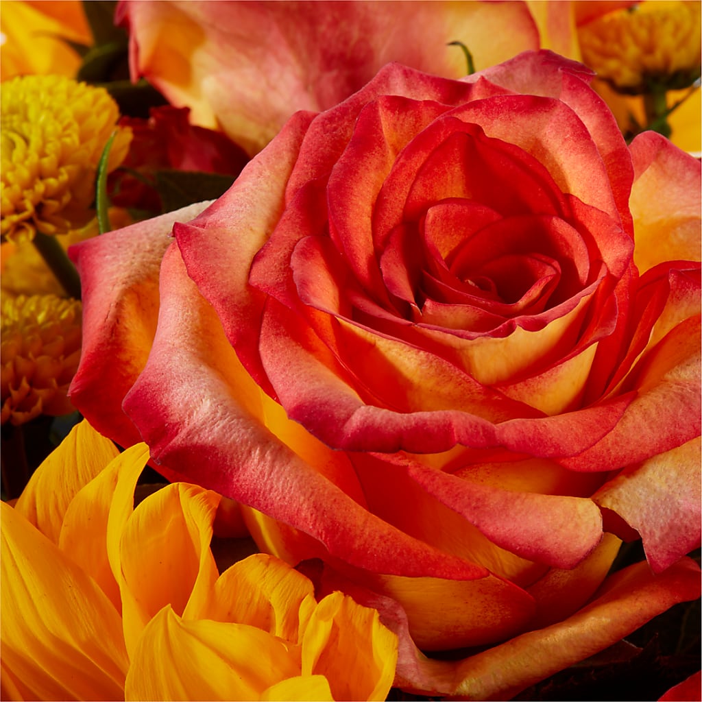 Picnic in the Park Bouquet – FUJI'S ALADDIN FLOWERS, National City CA