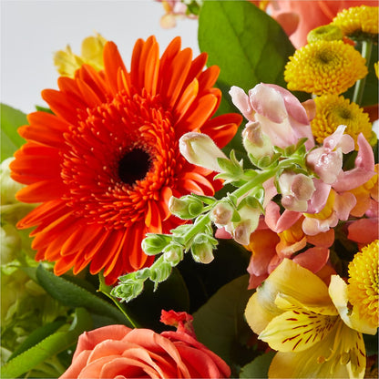 Autumn Sunshine Bouquet – FUJI'S ALADDIN FLOWERS, National City CA