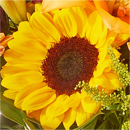 Seasons Change Bouquet – FUJI'S ALADDIN FLOWERS, National City CA