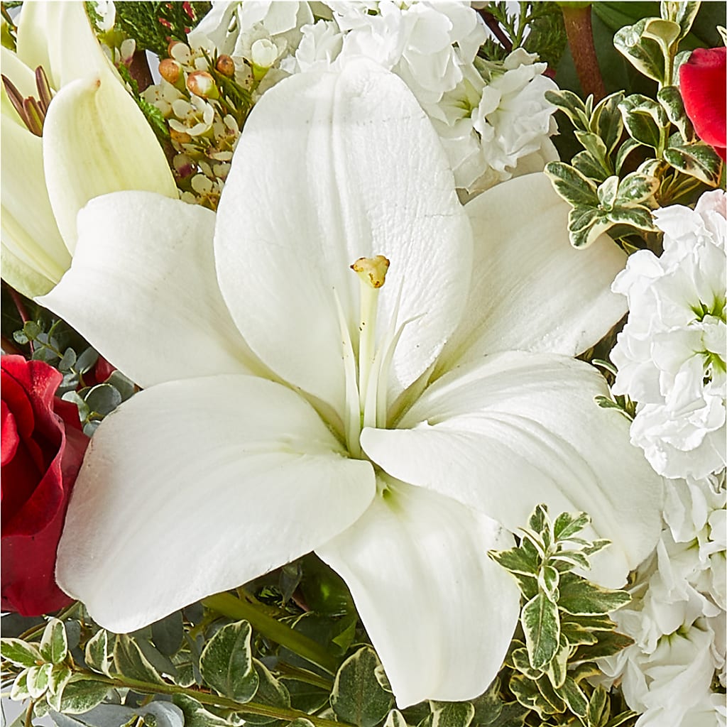 Twinkle Lights Bouquet – FUJI'S ALADDIN FLOWERS, National City CA
