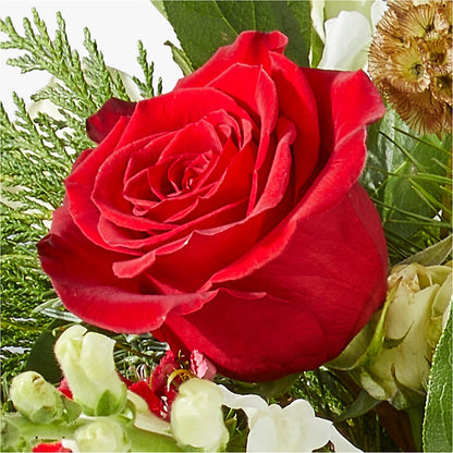 Deck the Halls Bouquet – FUJI'S ALADDIN FLOWERS, National City CA