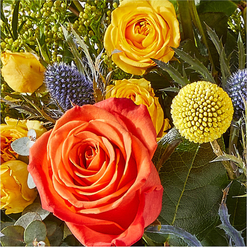Disco Bouquet – FUJI'S ALADDIN FLOWERS, National City CA