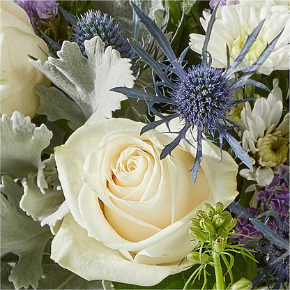 Shooting Star Bouquet – FUJI'S ALADDIN FLOWERS, National City CA