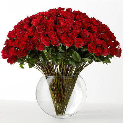 The Idealist – FUJI'S ALADDIN FLOWERS, National City CA