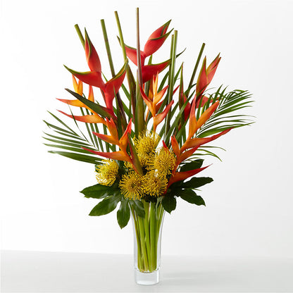The Drama – FUJI'S ALADDIN FLOWERS, National City CA