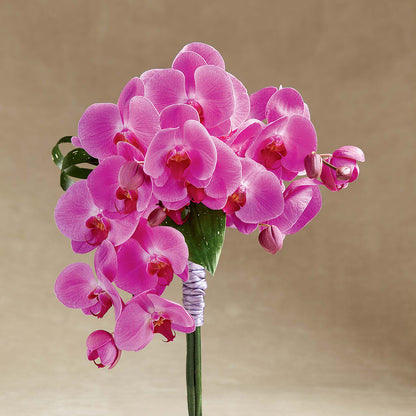 Glorious Bouquet – FUJI'S ALADDIN FLOWERS, National City CA