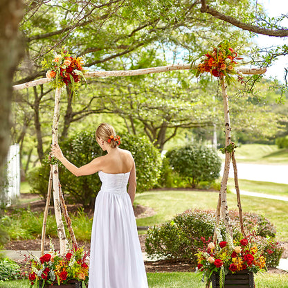 Arbor of Love Archway – FUJI'S ALADDIN FLOWERS, National City CA