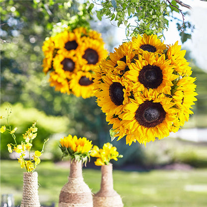 Sublime Garden Hanging Arrangement – FUJI'S ALADDIN FLOWERS, National City CA