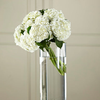 White Hydrangea Hand-Tied Bouquet – FUJI'S ALADDIN FLOWERS, National City CA