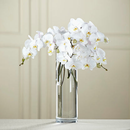 White Phalaenopsis Bouquet – FUJI'S ALADDIN FLOWERS, National City CA