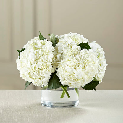 White Hydrangea Bouquet – FUJI'S ALADDIN FLOWERS, National City CA